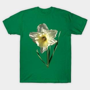 Daffodils - White Daffodil T-Shirt